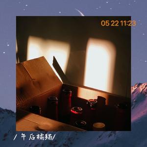 【Free】午后橘猫