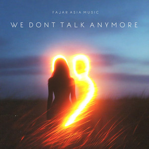 We Don't Talk Anymore