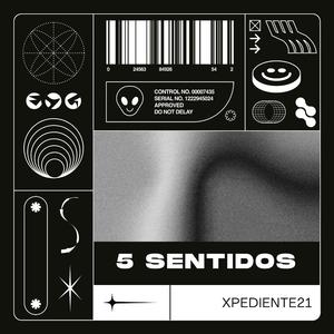 5 SENTIDOS