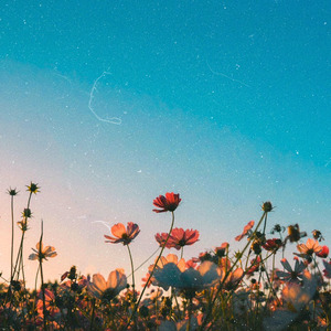 幸せにならないで、