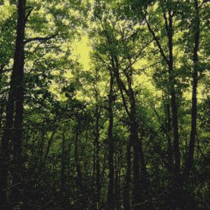 La Marchouille
