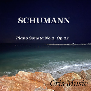 Schumann: Piano Sonata No.2, Op.22, 4. Rondo - Presto