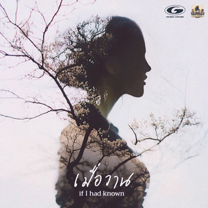 เมื่อวาน (If I had Known)