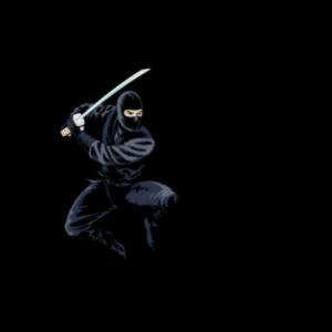 Ninja