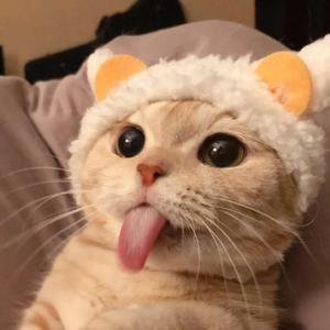 3ffef2a00eaa4e8a917a37572b1696d6