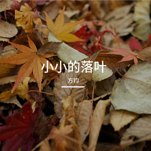 小小的落叶