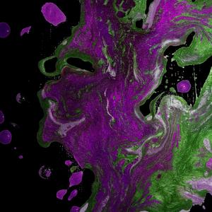 LowKey LowKey (Instrumental) (Instrumental)