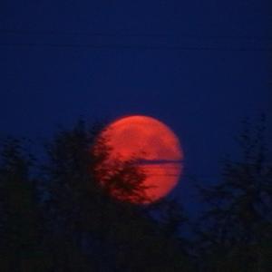 СвисающаяЧелюсть