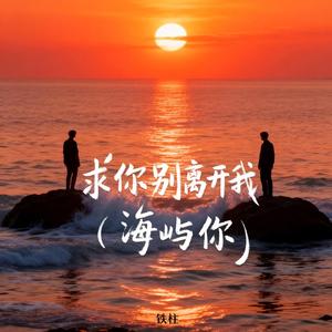 求你别离开我（海屿你）