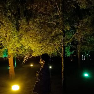 mmexport1647160449786_2022-03-26_051013