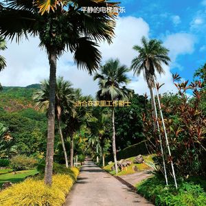 办公室工作爵士