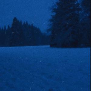 YOUR LIGHT SHINES THROUGH