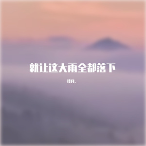 就让这大雨全都落下