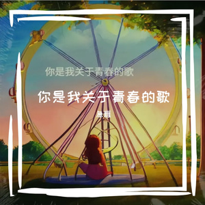你是关于我青春的歌