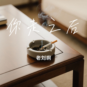 你走之后