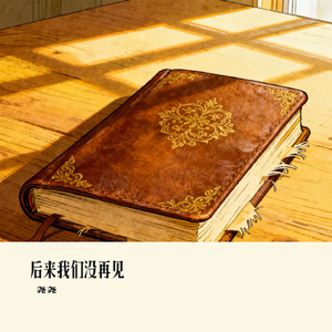 后来我们没再见