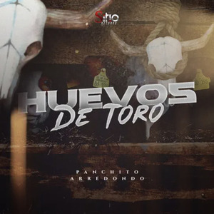 Huevos de Toro
