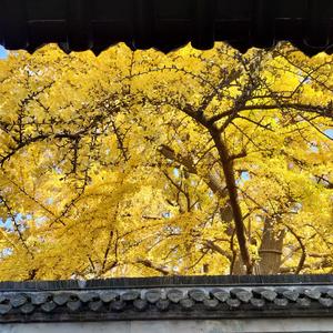 泪桥·至少我们曾经直线交叉过