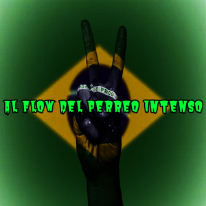 Bichota (Remix)