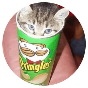 pringles