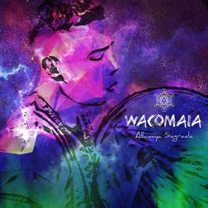 Wacomaia