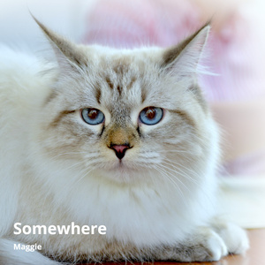 Melody No Sleep (Slow Remix)