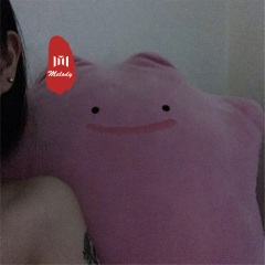 逆行者的狂歌 (DJ版)