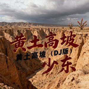 黄土高坡（DJ版）