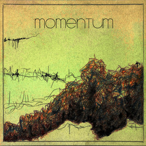 Momentum