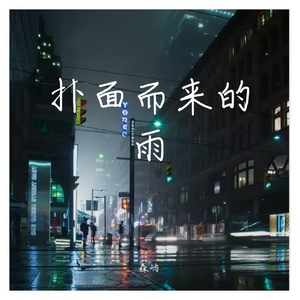 扑面而来的雨