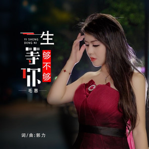 一生等你够不够 (DJ默涵女版)