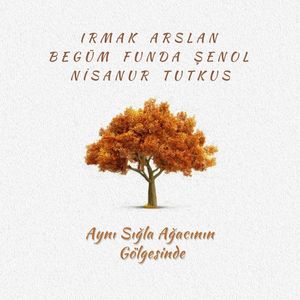 Aynı Sığla Ağacının Gölgesinde