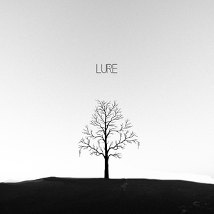 Lure