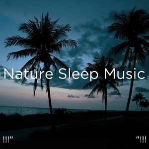 수면을위한 바다의 소리