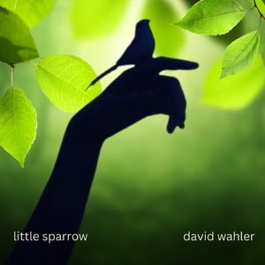 Little Sparrow