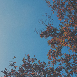 Are You Lost In Autumn