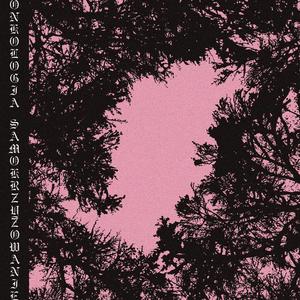 Tu Bruzdy Pod Oczami