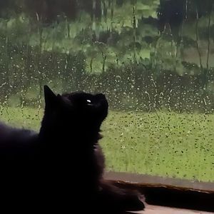 Waiting for the rain to end