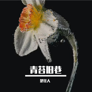 青苔旧巷