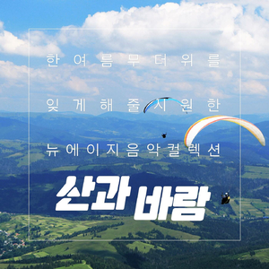 갈매기의 멜로디