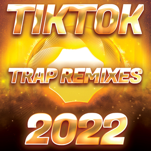 Running up That Hill (Remix Cover)