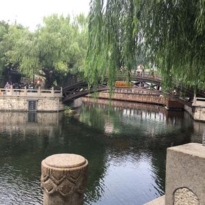 半生年华（山东话版） 伴奏