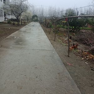 "经历的路途之困"