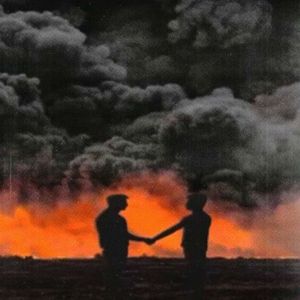 Animo Nero