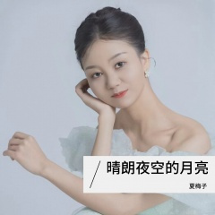 晴朗夜空的月亮