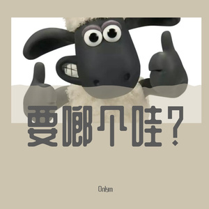 要啷个哇 Prod.by Major terror