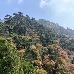 失去后只剩怀念