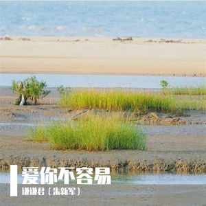 爱你不容易