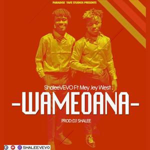 WAMEOWANA (feat. ShaleeVEVOFT)