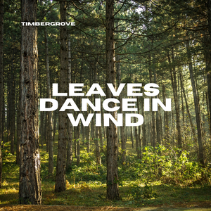 Leaves Dance in Wind